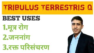 Homeopathic Medicine Tribulus Terrestris Benefits in Hindi  पेशाब की दिकत  Tribulus TQ Best Uses [upl. by Aremmat]