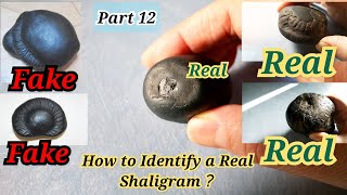 How to Check for Real Shaligram or Fake？⑫ [upl. by Meggy]