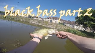 black bass sur le canal du berry  part 2 [upl. by Novyak]