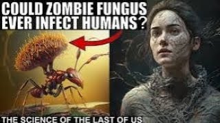 Could a fungus transform humans into zombies fungus zombieshorts [upl. by Ecinnahs]