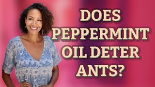 Does peppermint oil deter ants [upl. by Coridon]