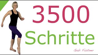 ♦️30 min 3500 Schritte  Cardio  Training für Einsteiger und Fortgeschrittene ohne Geräte [upl. by Allegra]