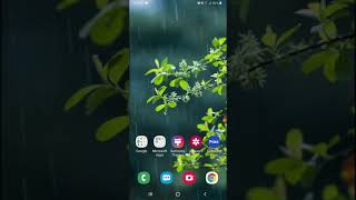 วิธีการเล่นเปิด2หน้าจอ Android Pie สำหรับ Note 9 s9 และ s9 Plus [upl. by Enoid]