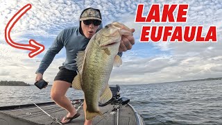 Lake Eufaula Alabama  High School Fishing Tournament TOP 20 [upl. by Nohsav]