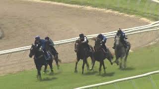 Heat 8 Doomben Jumpouts 0810 [upl. by Tem]