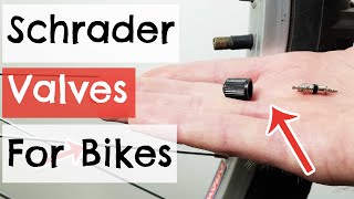 Schrader Valves for Bikes Explained [upl. by Hallimaj]