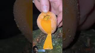 fruit naturallifeb satisfying naturalclips fruitcutting naturelife food carving plants [upl. by Namdor]