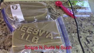 Using Beeswax and Swarm Commander in honey bee swarm trap [upl. by Allenrad]