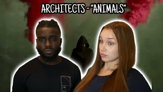 Architects  “Animals”  REACTION VIDEO [upl. by Florencia725]