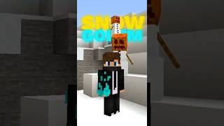 Spawning Natural SNOW Golem In Minecraft [upl. by Ulises]