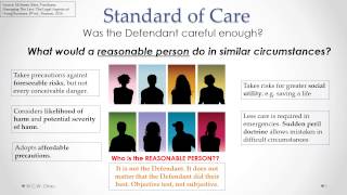 Tort of Negligence Standard of Care [upl. by Linneman823]