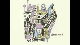 Damien Rice  Me My Yoke And I Album 9 [upl. by Sonni]