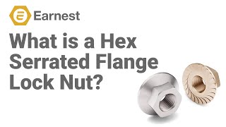 What is a Hex Serrated Flange Lock Nut [upl. by Sulamith]