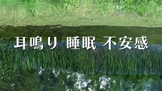 【音響療法で耳鳴り軽減】耳鳴り 睡眠 不安感 自律神経を整える音 11時間 [upl. by Erised]