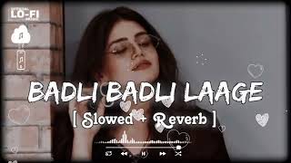 Badly Badli lage slowed reverblofi song SapnaChoudharyofficial [upl. by Amlet538]