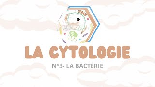 LA CYTOLOGIE N°3 La bactérie [upl. by Patience]