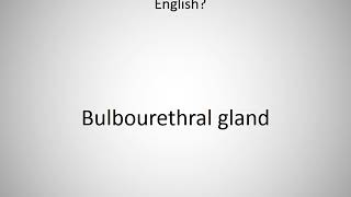 How to say Bulbourethral gland in English [upl. by Akirre]