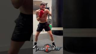 Caleb Plant BACK IN THE GYM LOCKED IN [upl. by Furey55]