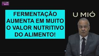 ESSE TIPO de queijo Iogurte repolho e outros alimentos P RECUPERAR O INTESTINO Dr Lair Ribeiro [upl. by Aierdna]