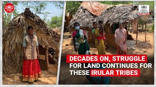 Decades on struggle for land continues for these Irular tribes in Tiruvallur  TNIE Explores [upl. by Ettegirb185]