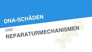 DNASCHÄDEN UND REPARATURMECHANISMEN  Biologie  Genetik und Entwicklungsbiologie [upl. by Panther]