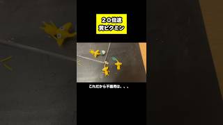 ２０倍速粘土黄ピクミン 粘土 ハンドメイド ピクミン 100 pikmin shorts short diy [upl. by Hannazus]