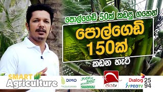 ඉස්සර පොල් ගෙඩි 50ක් කඩපු ගහෙන් ‌150 ක් 😮  Smart Agriculture  Ep 07  2024 11 10  Jaya TV [upl. by Aneeuqahs]