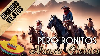 Las 50 Puros Corridos Viejitos  Pero Bonitos Nunca Olvides 🤠🤠 [upl. by Arlan]