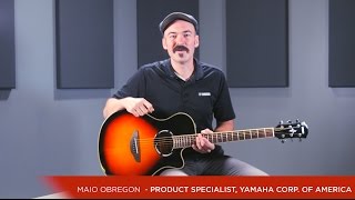 Yamaha APX500III Thinline Cutaway AcousticElectric Guitar Vintage Sunburst [upl. by Cicily822]