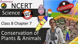 NCERT Class 8 Science Chapter 7 Conservation of Plants and Animals NSONSTSE  English [upl. by Sherourd335]