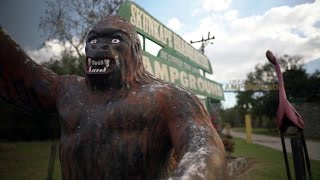 Florida’s Skunk Ape  Daily Planet [upl. by Ydollem426]