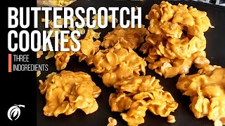 3 Ingredients  NO BAKE  Butterscotch Cookies [upl. by Falda]