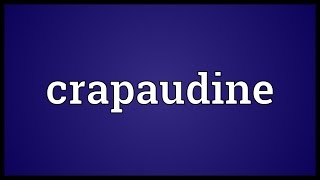 Crapaudine Meaning [upl. by Attenyl]