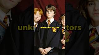 The ULTIMATE Harry Potter HBO Fancast harrypotter hbo [upl. by Alanson]