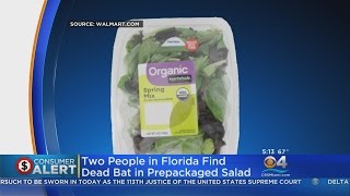 Dead Bat Prompts Salad Recall [upl. by Jerrilyn]