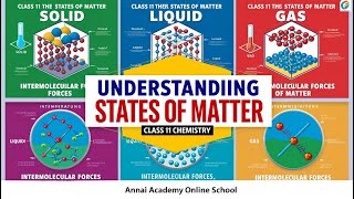 Mastering States of Matter Unlock the Secrets of Solids Liquids and Gases in Class 11 [upl. by Rushing]