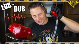 Realistic BEATING Gummy Heart for Halloween TKOR Show How To Make A Heart From Gummy Candy [upl. by Batha]