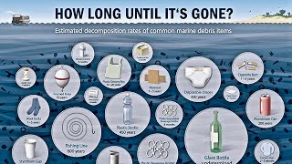 Interesting  How Long Trash Takes To Decompose [upl. by Fauch]