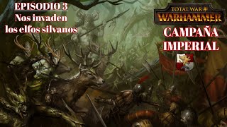 Total War WARHAMMER  Episodio 3 Nos invaden los elfos silvanos [upl. by Kelby239]