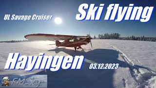 Savage ski flying [upl. by Ahsekin183]