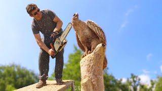 Amazing wood carving with CHAINSAW WOODEN EAGLES [upl. by Stevenson]