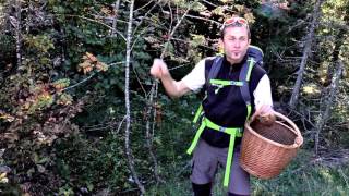 Balade forestière sur le plateau de Retord dans le Bugey 01 [upl. by Constantin]