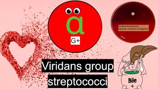 Viridans group streptococci Everything you need to know [upl. by Holcman]