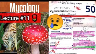 Opportunistic Mycoses 🛑 Chap 50 part 2 candida cryptococcus aspergillus mucor rhizopus [upl. by Yrtsed944]