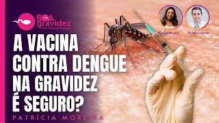 DENGUE  A vacina contra dengue é segura na gravidez e para lactantes [upl. by Attenweiler620]