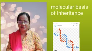 molecular basis of inheritance Watson crick model ofDNA molecularbasisofinheritanceclass12 bio [upl. by Hetti]