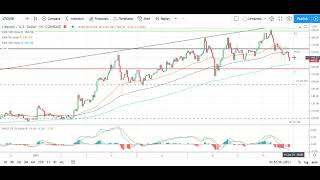 Bitcoin Ethereum Litecoin and Ripples XRP Daily Tech Analysis January 11th 2021 [upl. by Haelak187]