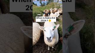 Bakra Eid 2024 Kab hai 🌙 When will Bakra Eid be in 2024  bakraeid bakra bakraeid2024 eiduladha [upl. by Nnylodnewg]