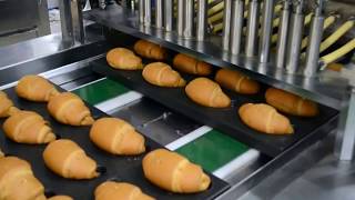 Croissant Production Line Automatic Croissant Prodcution Line French Bread Making Machine [upl. by Danni122]