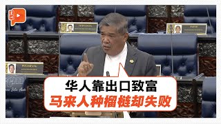 坦言非从种族角度出发 末沙布：为何土著种榴梿和出口会失败？ [upl. by Toddie]